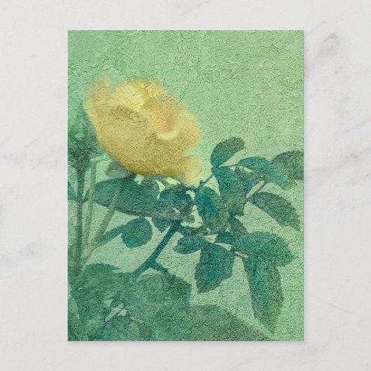 Yellow Rose Style Foto Briefkaart (Voorkant)