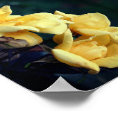 Yellow Rose Trio Abstract Poster (Hoek)