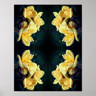 Yellow Rose Trio Abstract Poster