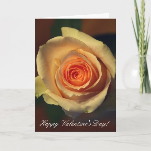 Yellow Rose Valentijn Kaart (Voorkant)