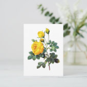 Yellow Rose van Pierre Joseph Redoute Briefkaart (Staand voorkant)