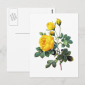 Yellow Rose van Pierre Joseph Redoute Briefkaart (Voorkant / Achterkant)