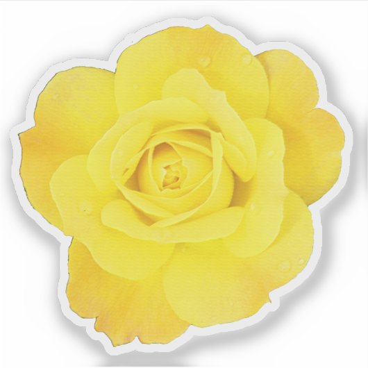 Yellow Rose Vriendschap Dag Vrienden Bruiloften Fl Sticker (Voorkant)