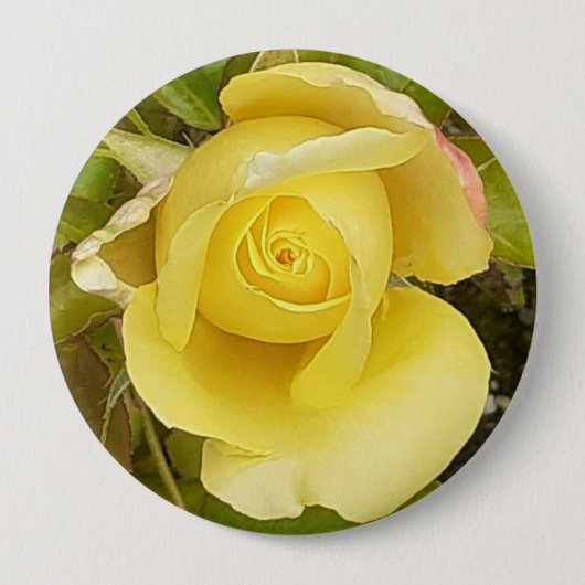 Yellow Rosebud Badge Ronde Button 4,0 Cm (Voorkant)
