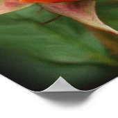 Yellow Rosebud Flower Art Photo Painting Poster (Hoek)