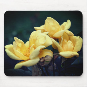 Yellow Rosebud Flowers Muismat
