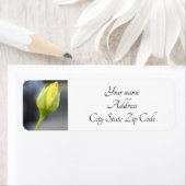 Yellow Rosebud foto Etiket (Insitu)