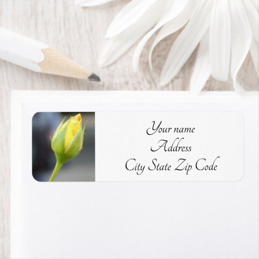 Yellow Rosebud foto Etiket (Insitu)