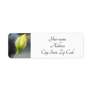 Yellow Rosebud foto Etiket