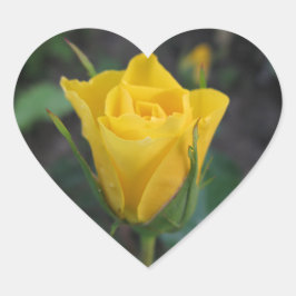 Yellow Rosebud Hart Sticker