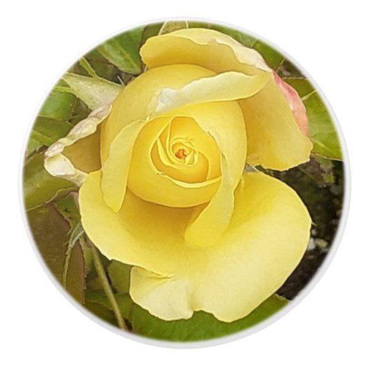 Yellow Rosebud Keramische Knop (Voorkant)