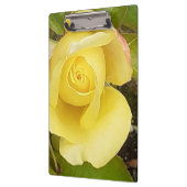 Yellow Rosebud-klembord Klembord (Links)