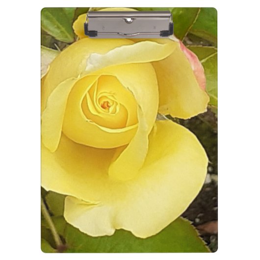 Yellow Rosebud-klembord Klembord (Voorkant)