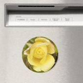 Yellow Rosebud Magnet (Insitu (Vaatwasser))
