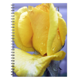 Yellow Rosebud Notitieboek