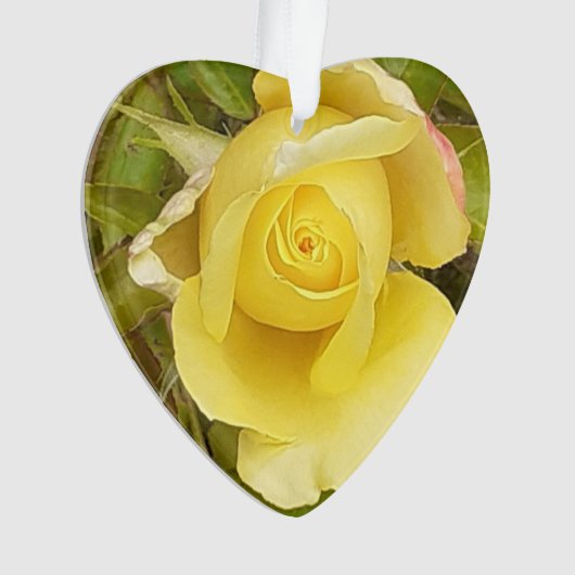 Yellow Rosebud Ornament (voorkant)