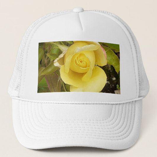 Yellow Rosebud Trucker Pet (Voorkant)