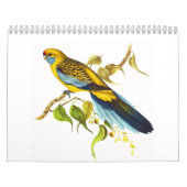 Yellow Rosella Kalender (Hoes)