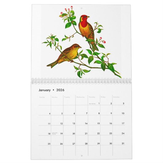 Yellow Rosella Kalender (Jan 2026)