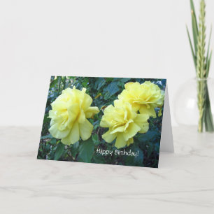 Yellow roses Birthday Card Kaart