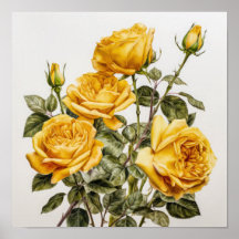 Yellow Roses Flower Art Print Poster