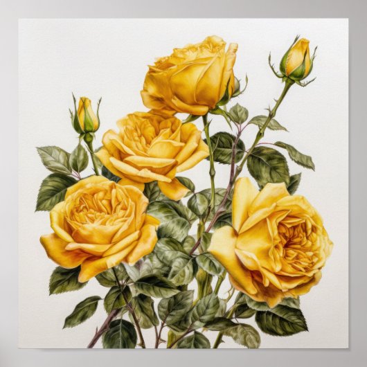 Yellow Roses Flower Art Print Poster (Voorkant)