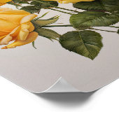 Yellow Roses Flower Art Print Poster (Hoek)