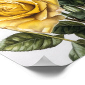 Yellow Roses Flower Art Print Poster (Hoek)