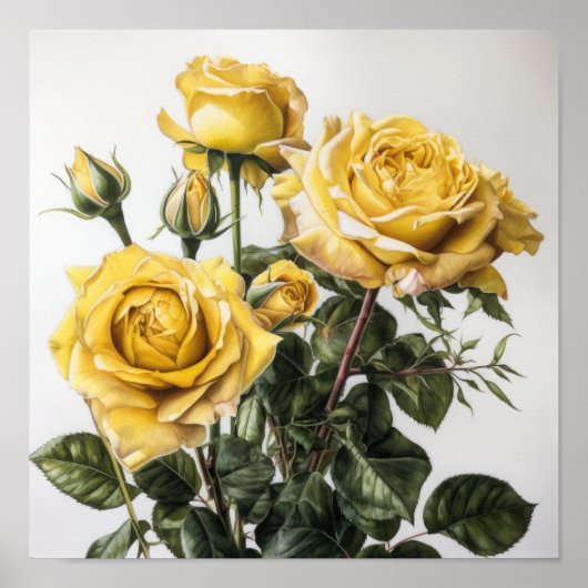 Yellow Roses Flower Art Print Poster (Voorkant)