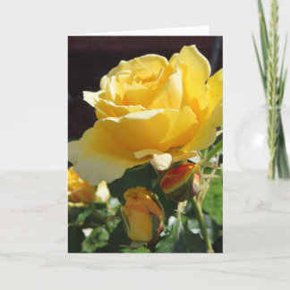 Yellow Roses Greeting Card Aankondiging