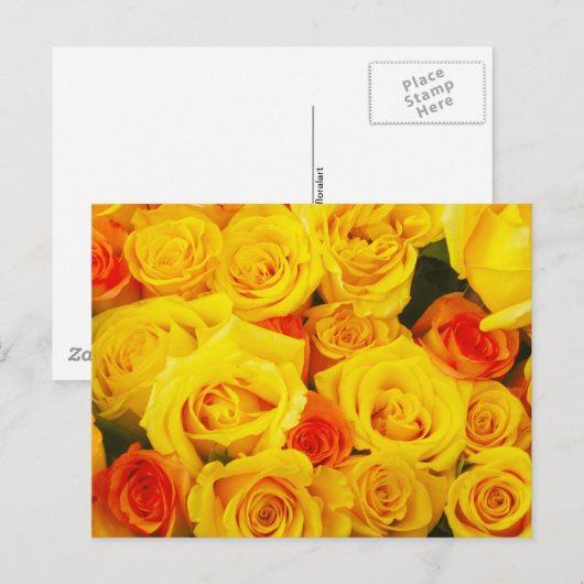 Yellow Roses Paris Briefkaart (Voorkant / Achterkant)