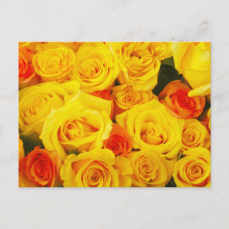 Yellow Roses Paris Briefkaart