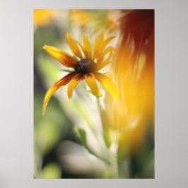 Yellow Rudbeckia Flower Poster