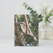 Yellow Rumped Warbler Photo Briefkaart (Staand voorkant)
