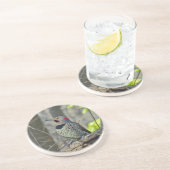 Yellow-Shafted Flicker Woodpecker Zandsteen Onderzetter (Zijkant)