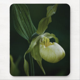 Yellow Slipper Mousepad Muismat