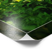 Yellow Snapdragon Field foto Foto Afdruk (Hoek)