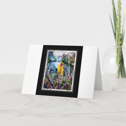 Yellow Song Kaart (Voorkant)