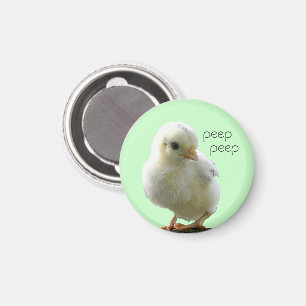 Yellow Spring Chick Button Magneet