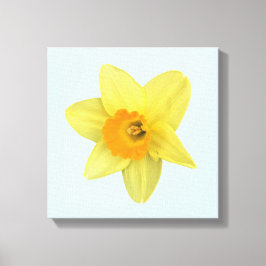 Yellow Spring Daffodil Canvas Afdruk