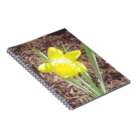 Yellow Spring Daffodil fotografie Notitieboek (Rechterzijde)