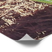 Yellow Spring Daffodil fotografie Poster (Hoek)