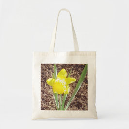 Yellow Spring Daffodil fotografie Tote Bag