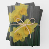 Yellow Spring Daffodil Garden Rustic Country Foto Inpakpapier Vel (In situ)