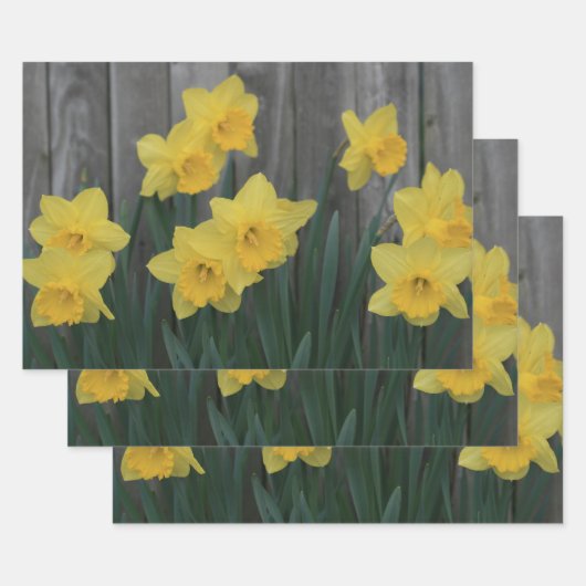 Yellow Spring Daffodil Garden Rustic Country Foto Inpakpapier Vel (Set)