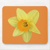 Yellow Spring Daffodil Muismat (Voorkant)
