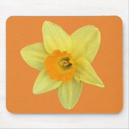 Yellow Spring Daffodil Muismat
