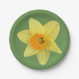 Yellow Spring Daffodil Papieren Bordje