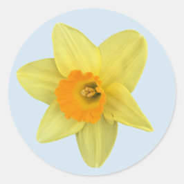 Yellow Spring Daffodil Ronde Sticker