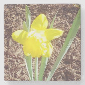 Yellow Spring Daffodil Stenen Onderzetter (Voorkant)
